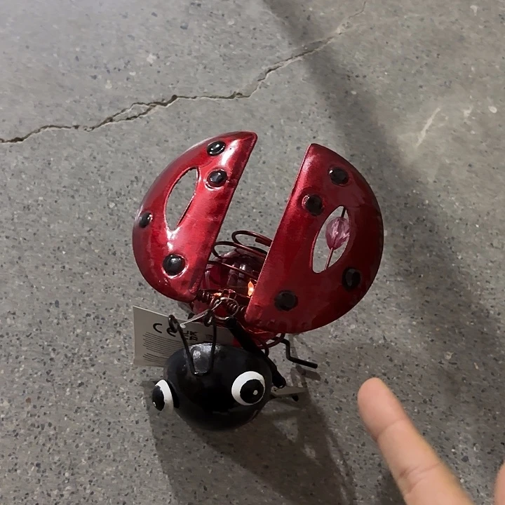 瓷片样品样品样品哟瓢虫