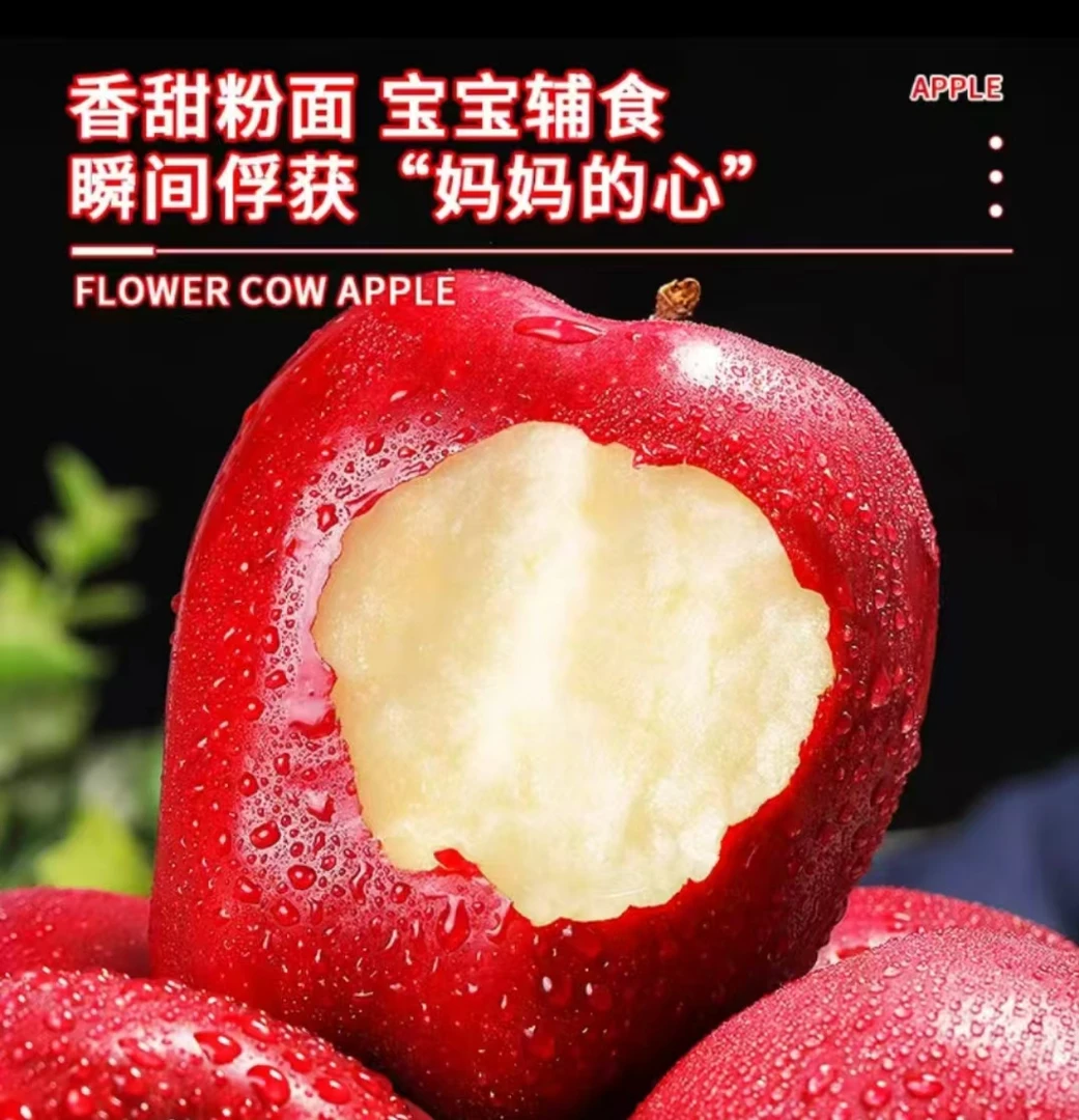 【中秋福利】甘肃老树花牛苹果3-10斤大果包邮，粉糯香甜