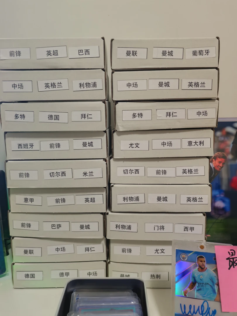 保签字物料词条盒！！词条一真一假！