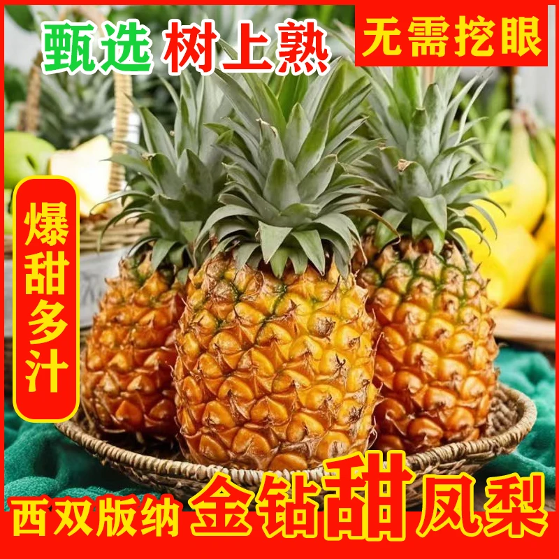 西双版纳金钻凤梨产地直发金菠萝新鲜热带应季孕妇水果非菠萝超甜