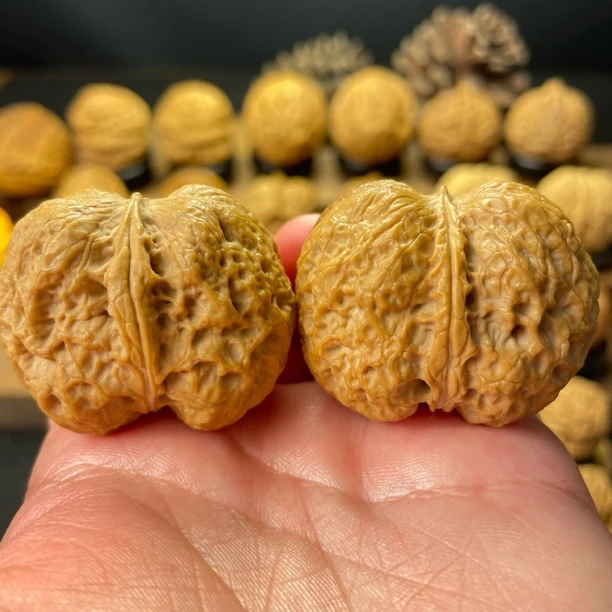 39尺寸  金锭元宝（云南铁核桃一物一图产地直发）