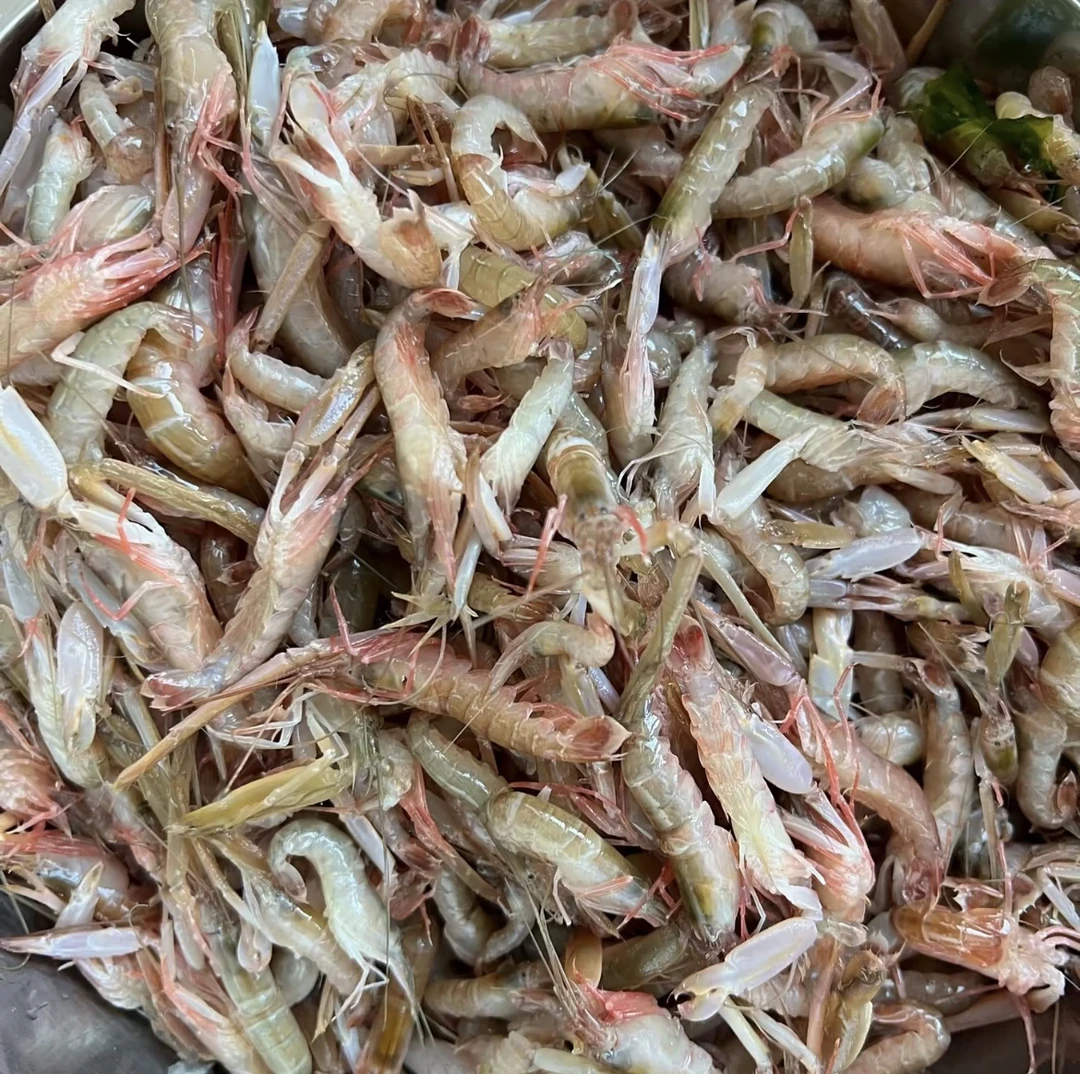 大连野生嘎吧虾（小体型虾介意勿拍 顺丰冷冻发货）