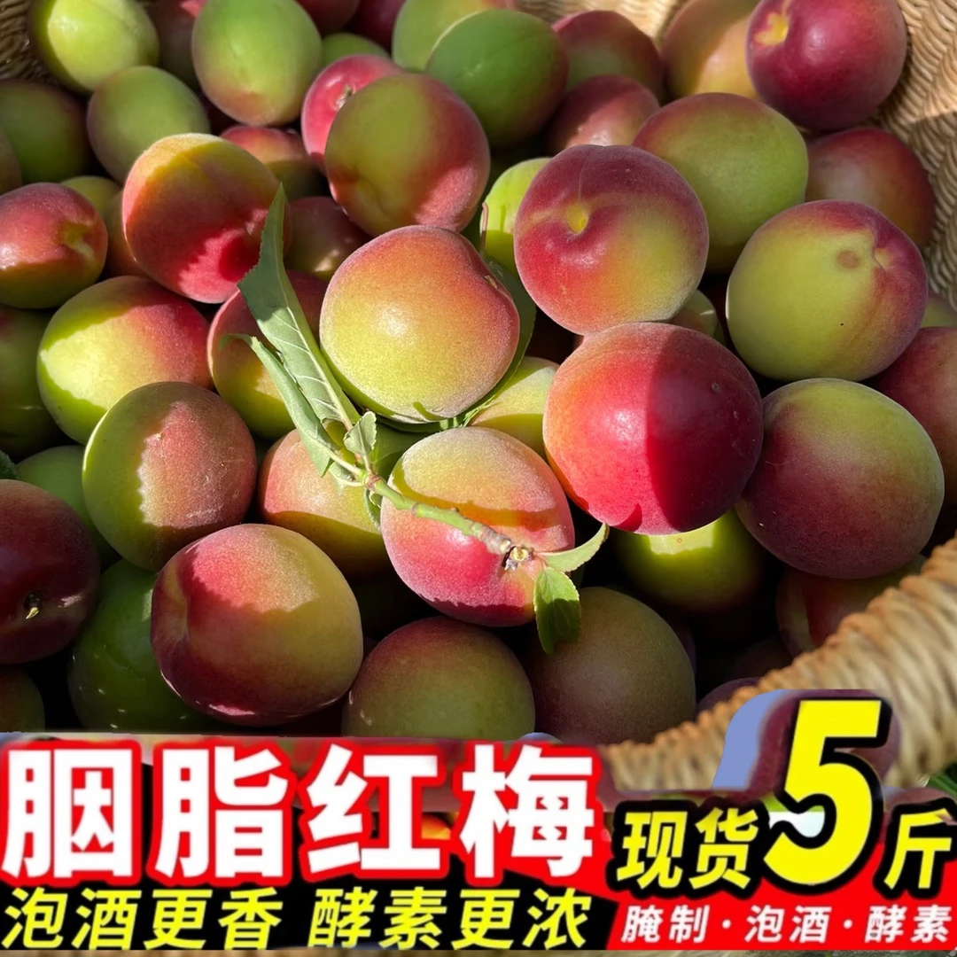 诏安青梅正宗胭脂梅现摘现发红梅高山野生梅子泡酒酵素脆梅