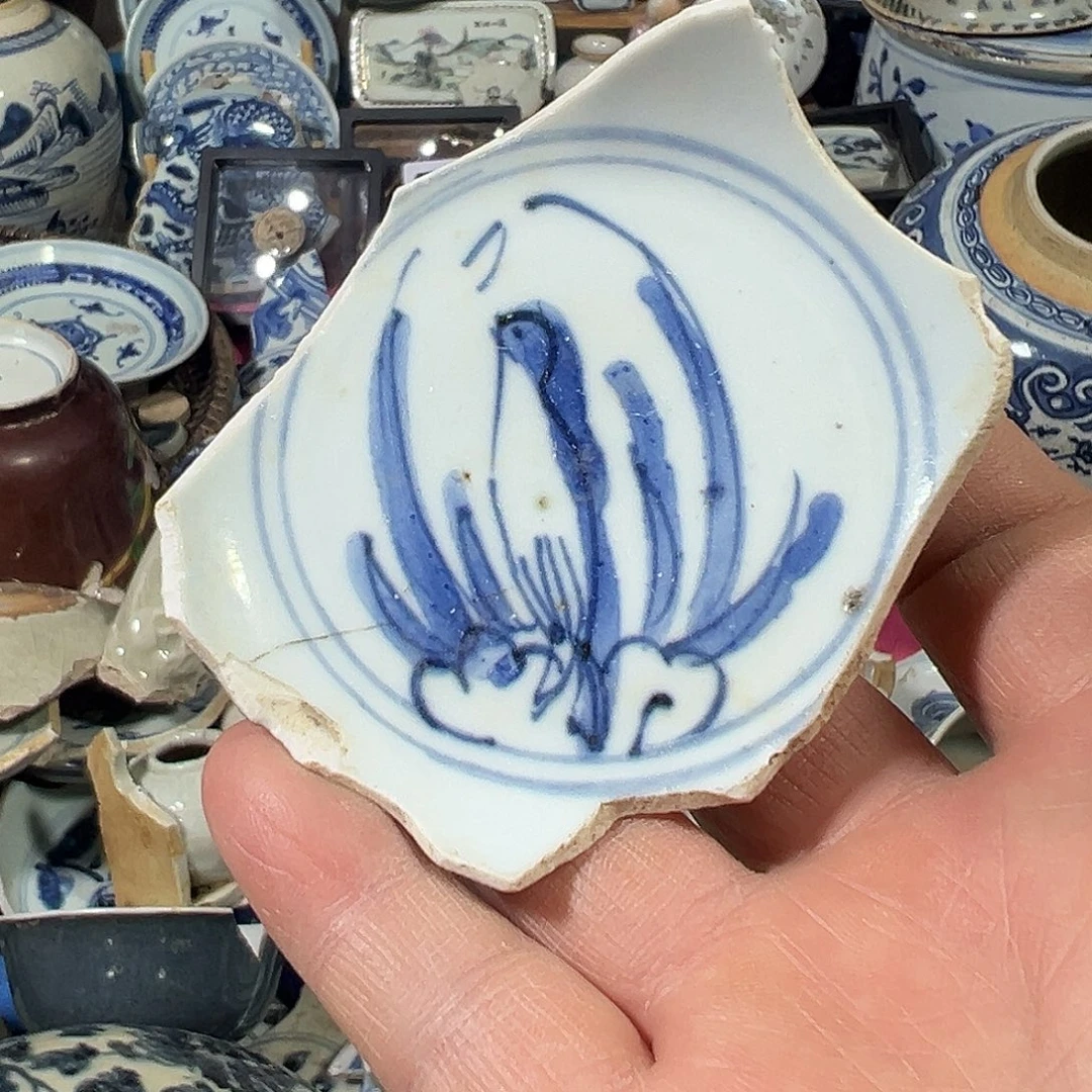 瓷片瓷片标本，全场包邮