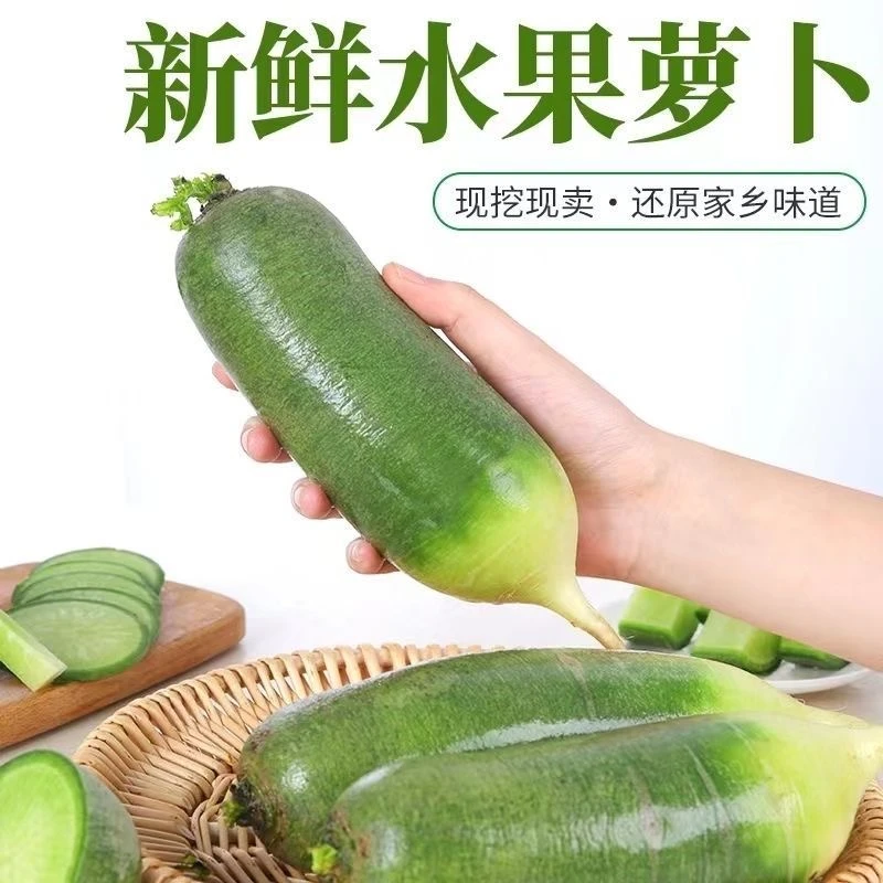 现拔现发清脆爽口东北黑土地种植水果萝卜绿皮大萝卜
