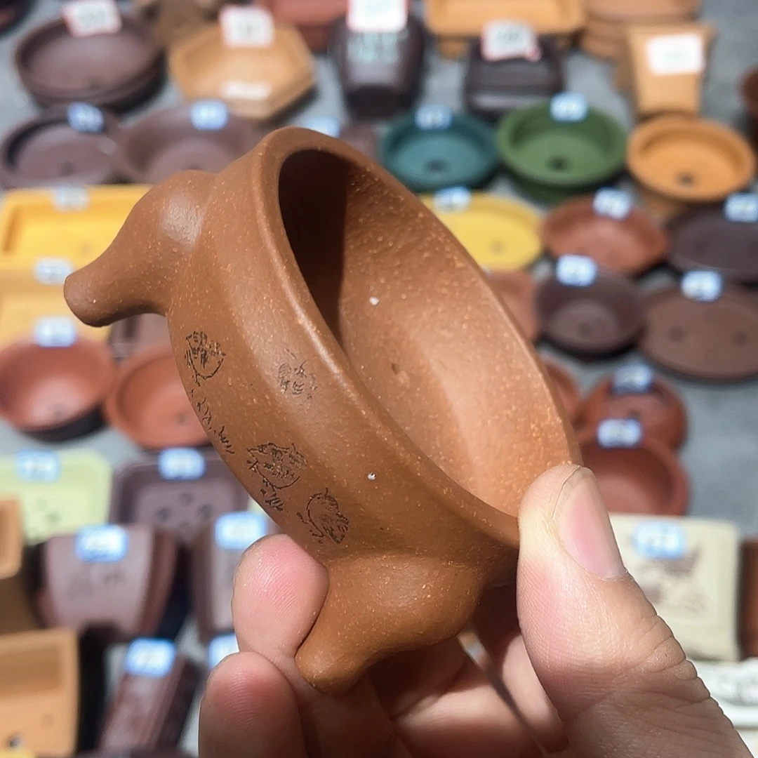 缥***生紫砂小盆6.5*2cmmmm