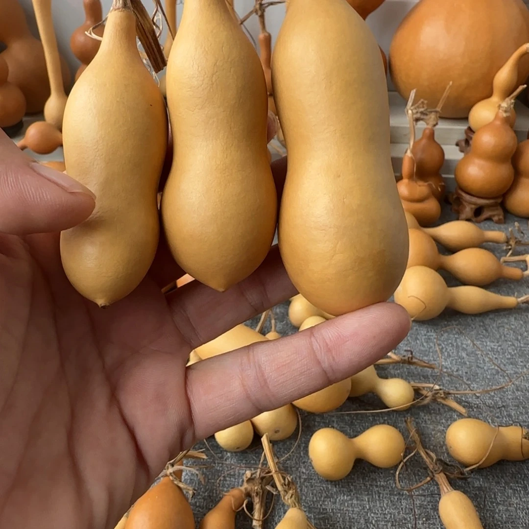 芜***育111111111111111111