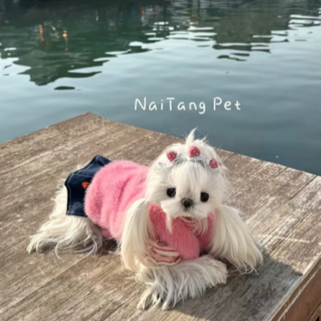 宠物服饰粉色两件套