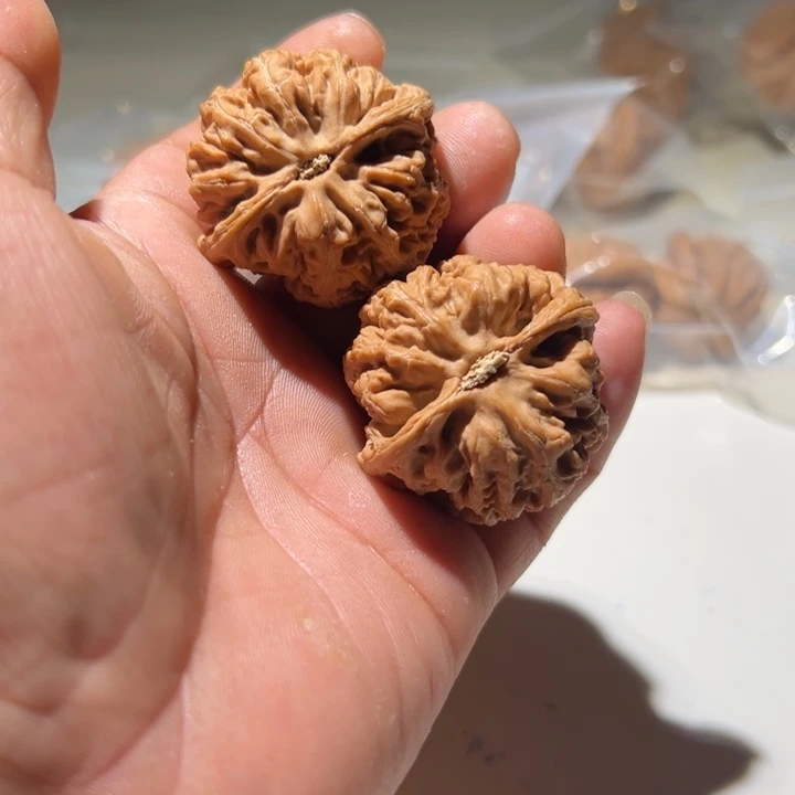 小***粥文玩核桃把件大粗筋