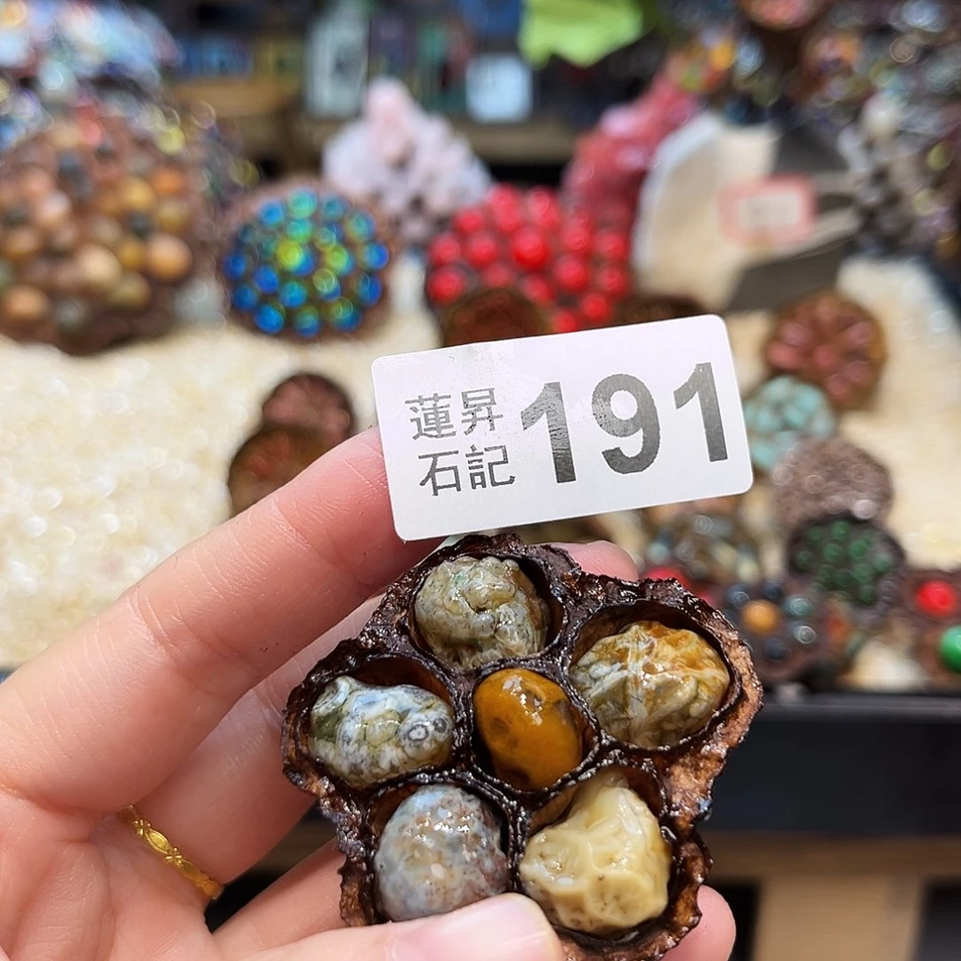 晚***秋核桃木/黑胡桃（胡桃木）191