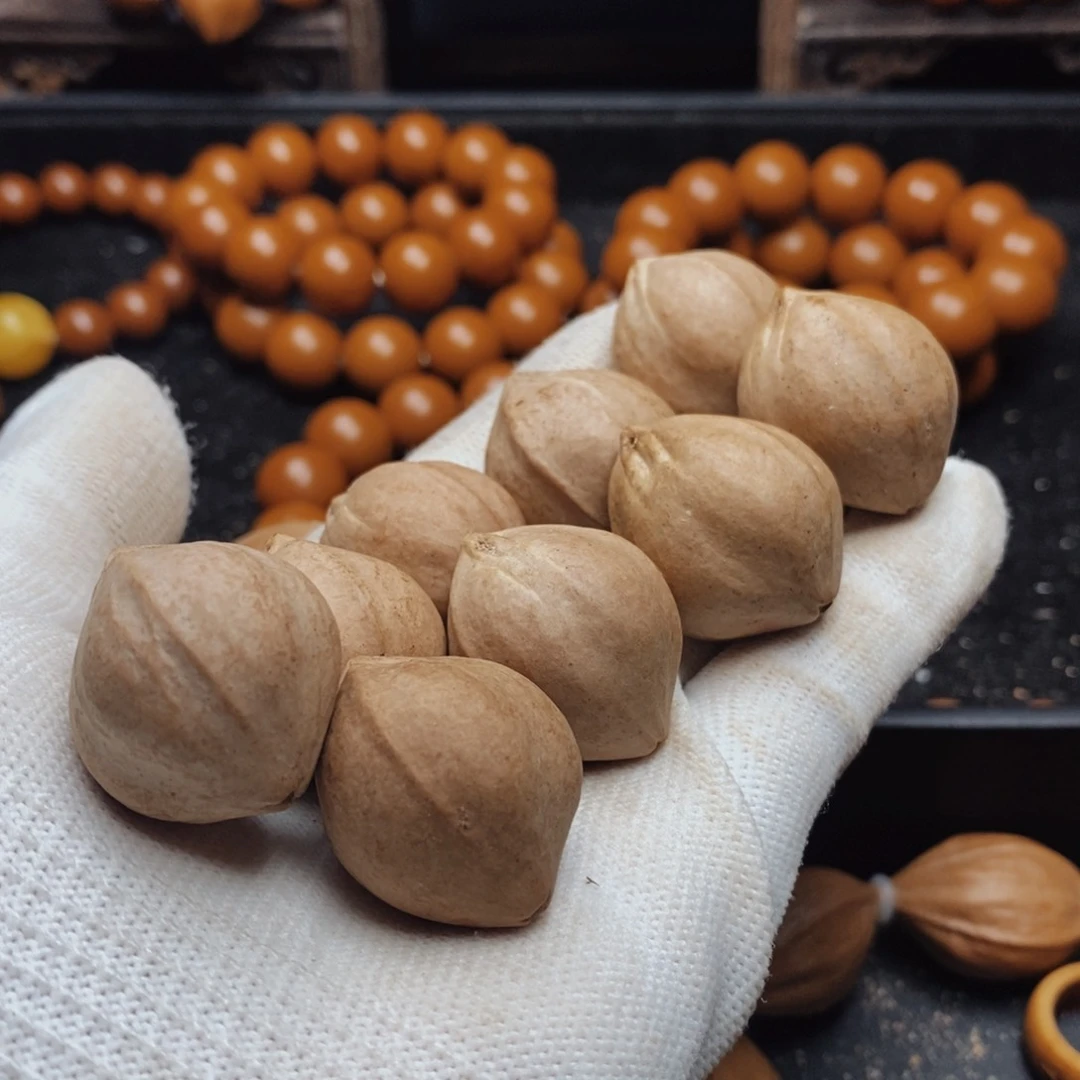橄榄核手串/手链c****n2.3X2.8尺寸树王