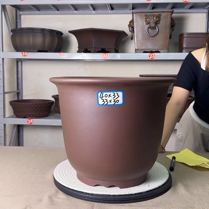 紫砂花盆紫砂花开