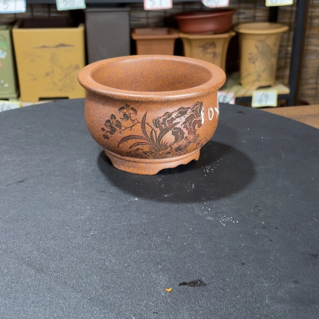 紫砂花盆在哪个地方