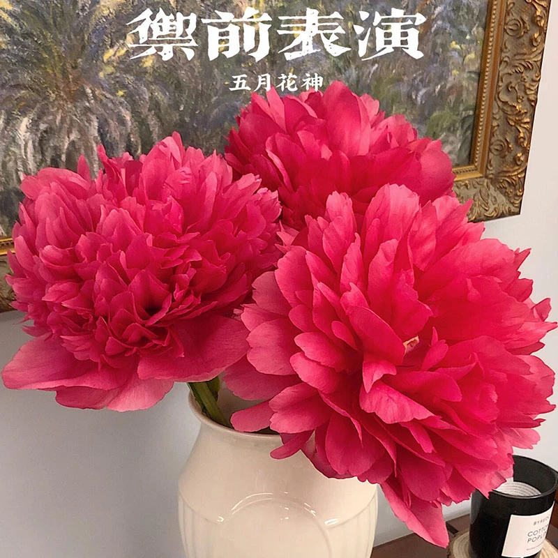 【 母亲节福利-御前表演】山东菏泽牡丹鲜花芍药重瓣鲜切花山东基地