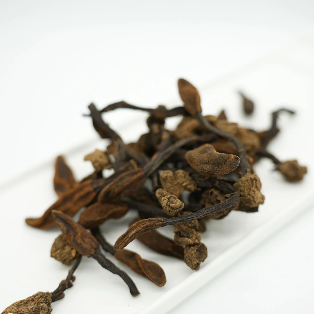 云南深山野生回春草文王一支笔干货绿植