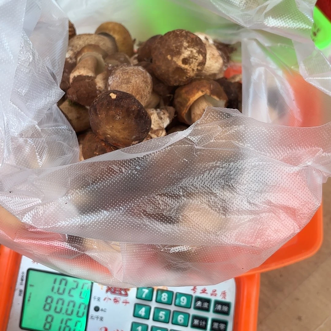 用***5云南小表妹野生菌代购中国大陆