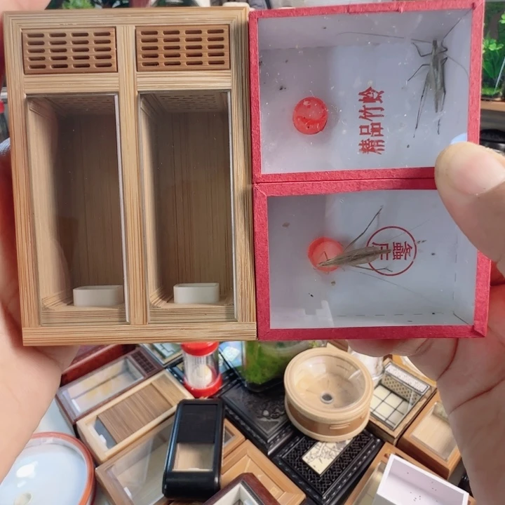 缘双盒➕2竹啊啊啊啊啊