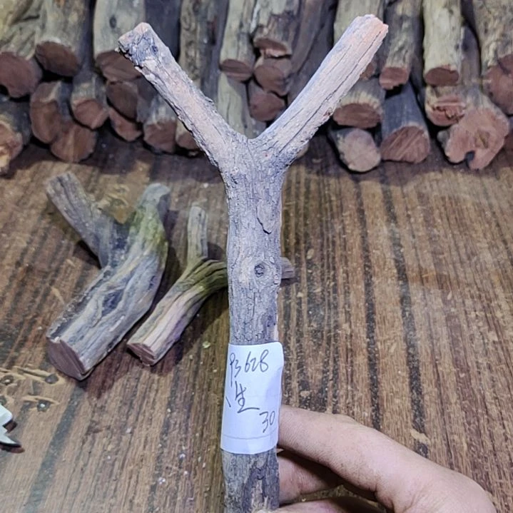 品***8火琉璃原杈不保沉水慎拍！