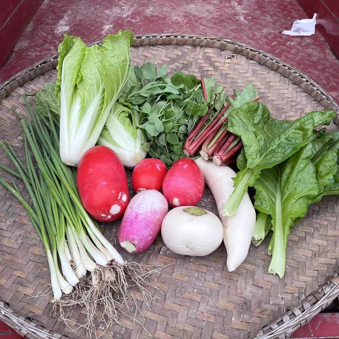 农家新鲜当季蔬菜时令蔬菜