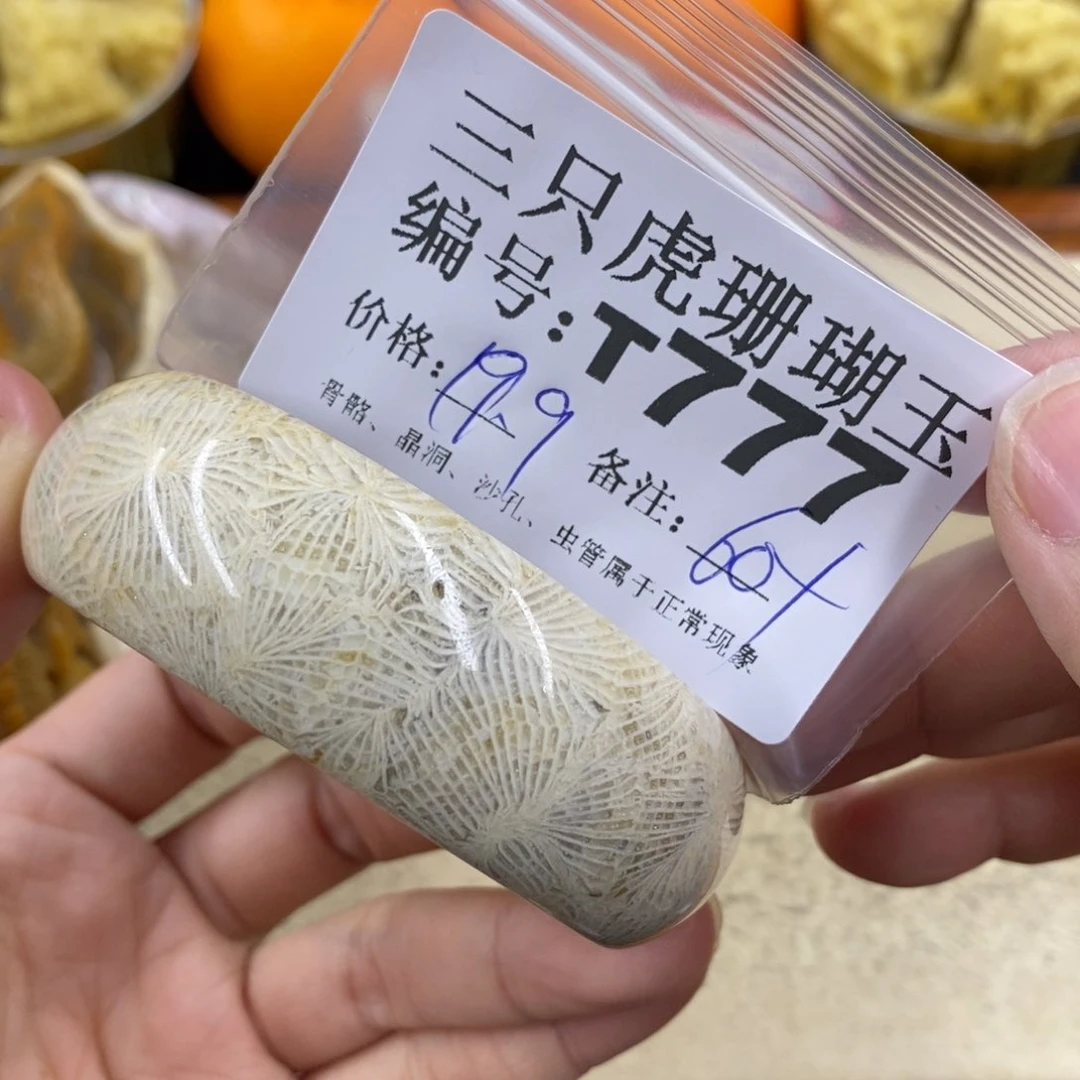 硅化珊瑚（珊瑚玉）1未镶嵌?****
