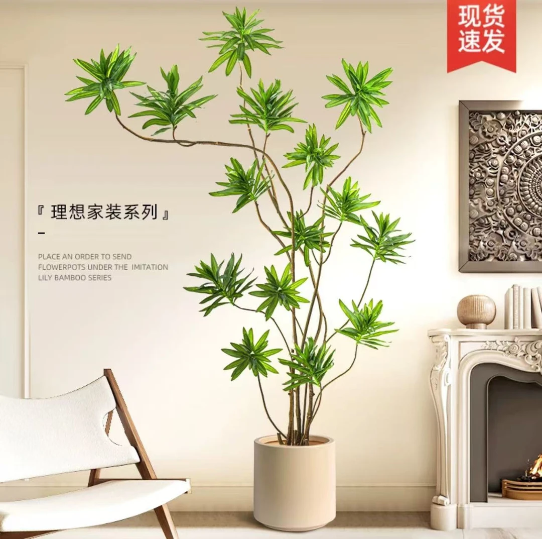 花花花绿植百合竹客厅造型绿植室内大型落地大盆栽办公室四季常青