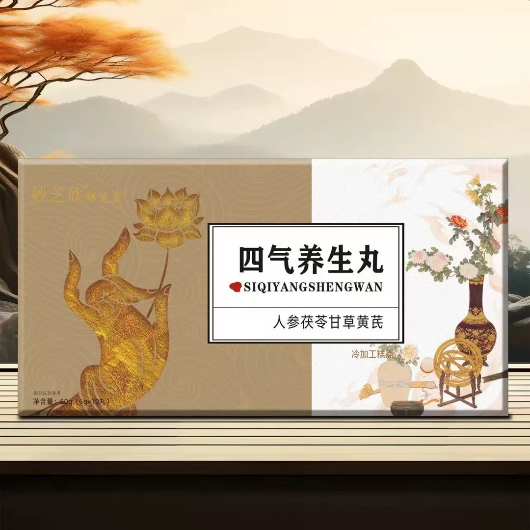 辉芝堂 四气养生丸