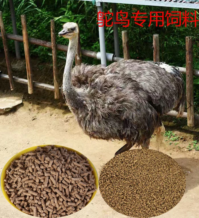 鸵鸟生长期饲料鸵鸟育雏期开口期产蛋期颗粒饲料破碎饲料