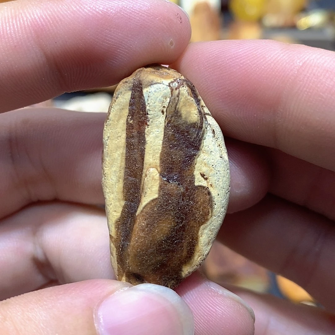 定制琥珀蜜蜡原石定制