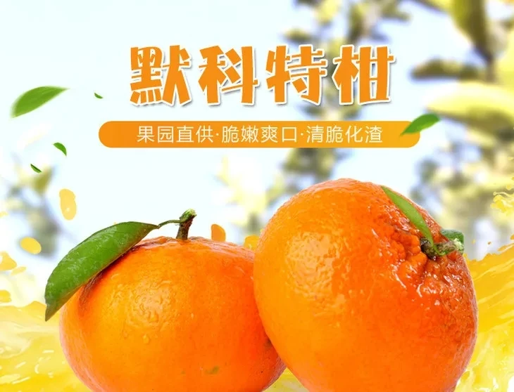 精品三月橘默科特，少核多汁，甘甜清爽，果园直发