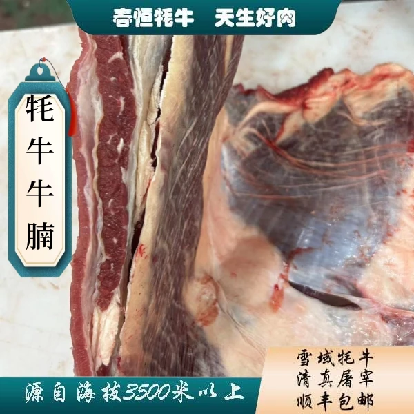 【牦牛牛腩】4斤 有牦牛毛筋膜多肥 介意慎拍 炖煮/红烧
