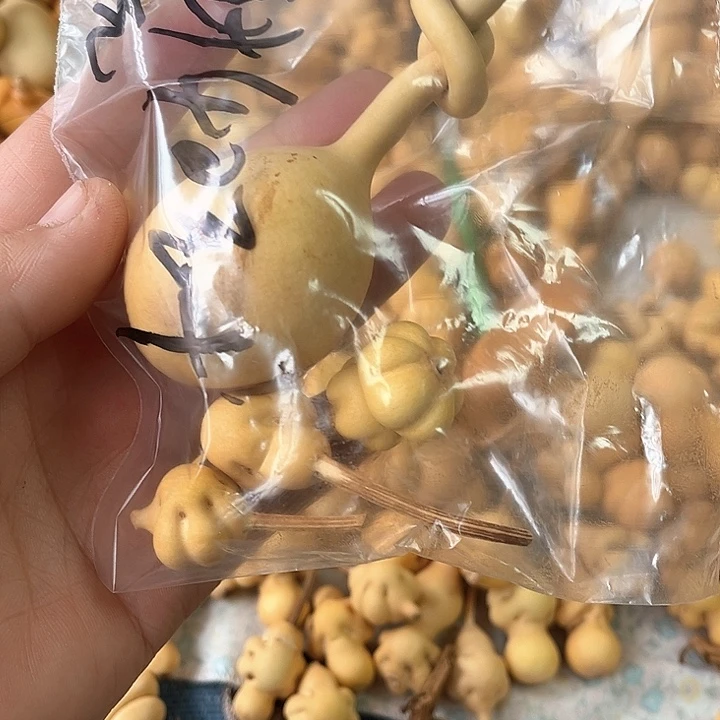 花顿，乌龟，和扣扣，