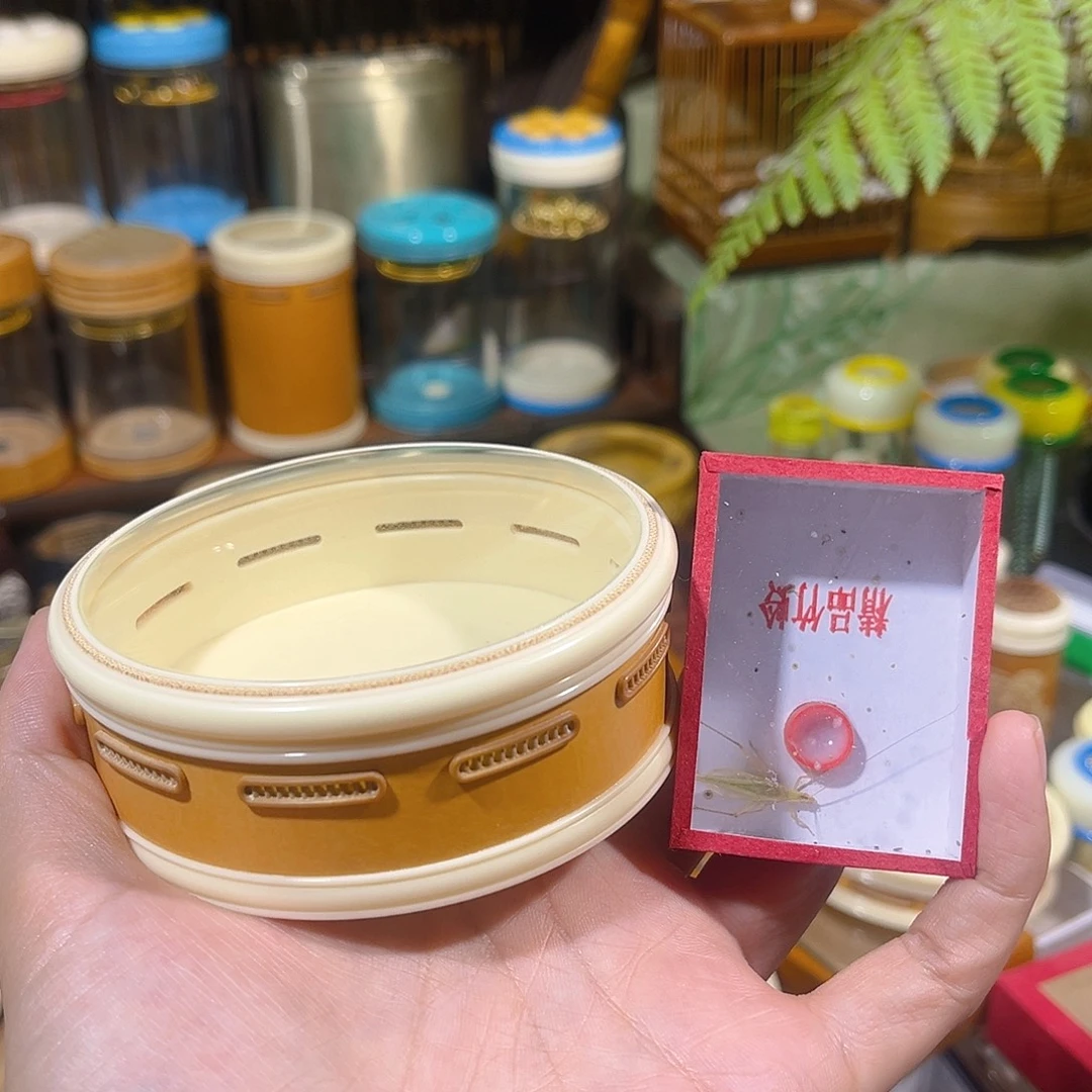 蟋蟀葫芦皮万体+竹竹蛉