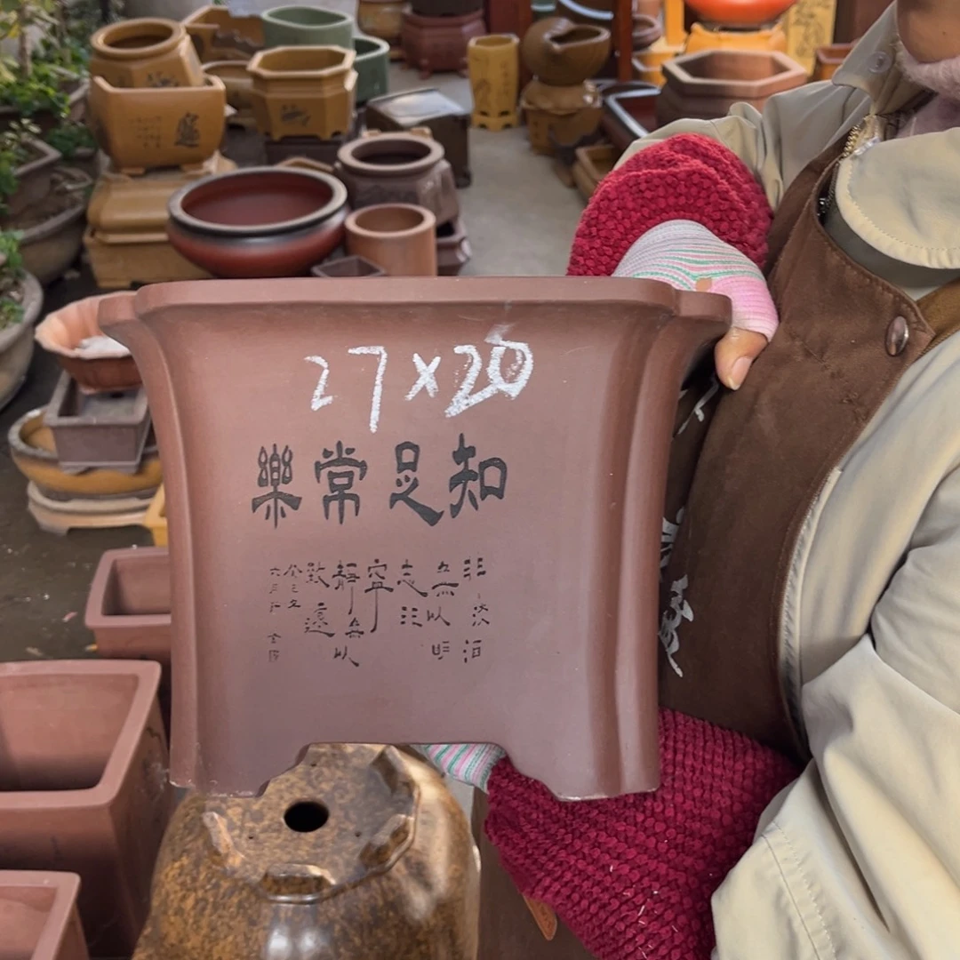 紫砂花盆盆景艺术