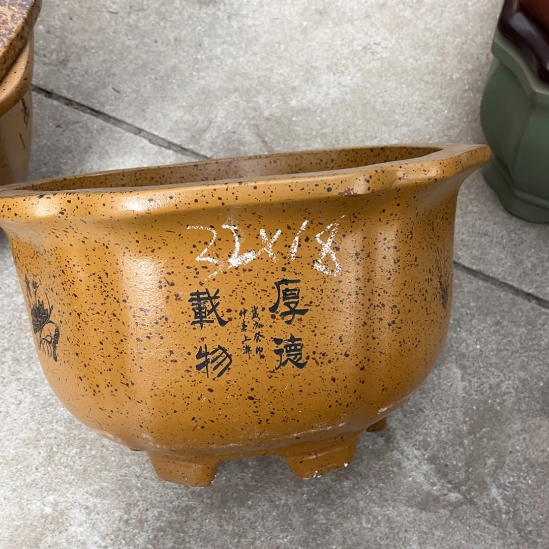 花盆紫砂盆景艺术