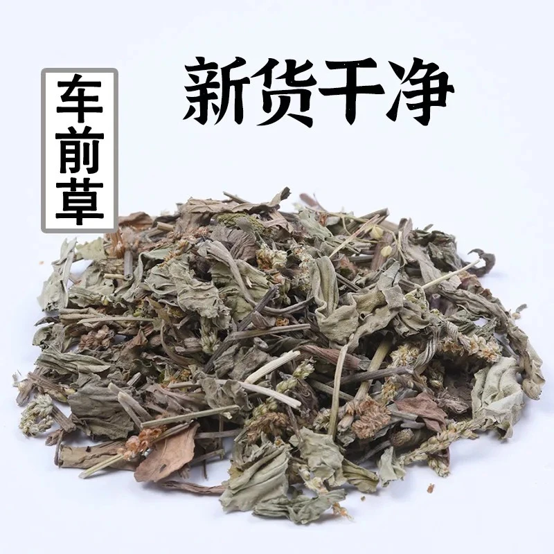 懿鹏轩【车前草】 当季新货200克