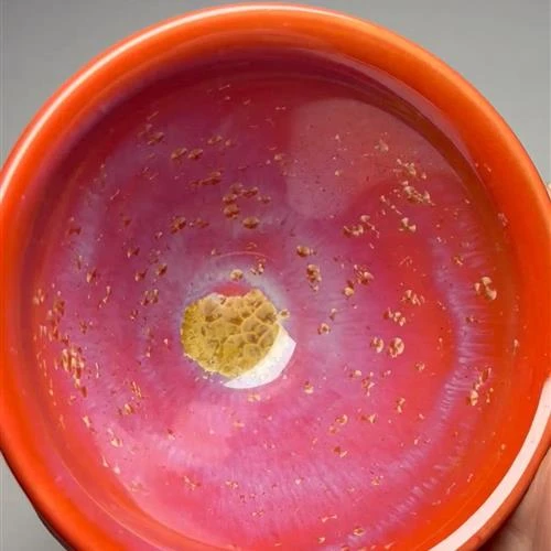 【闪购商品】茶盏-29.............