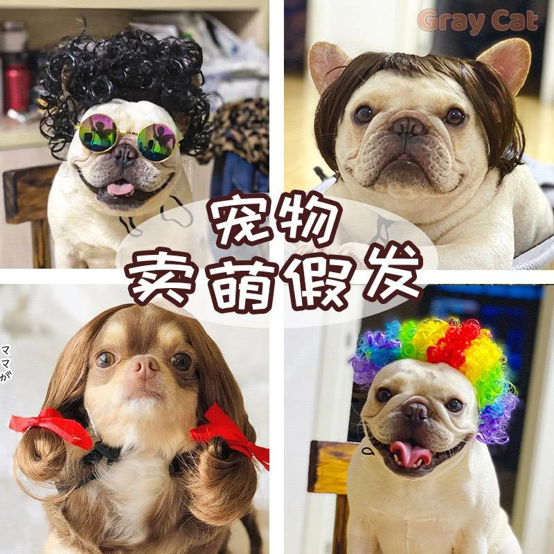宠物搞怪假发套狗狗猫咪拍照头饰搞笑变身装法斗八哥cosplay道具