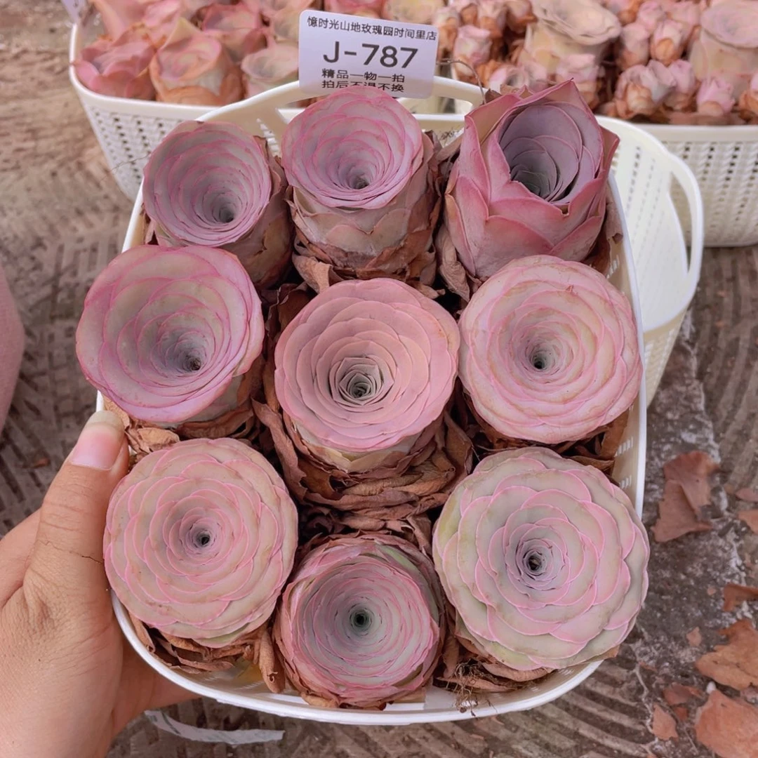 山地玫瑰花篮组合J787