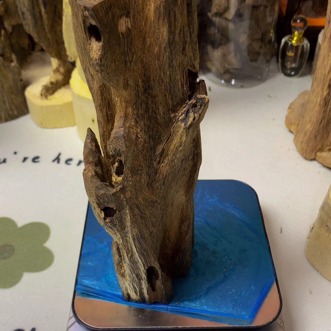 沉香沉香碎屑乌身圆叶虫漏191.5克