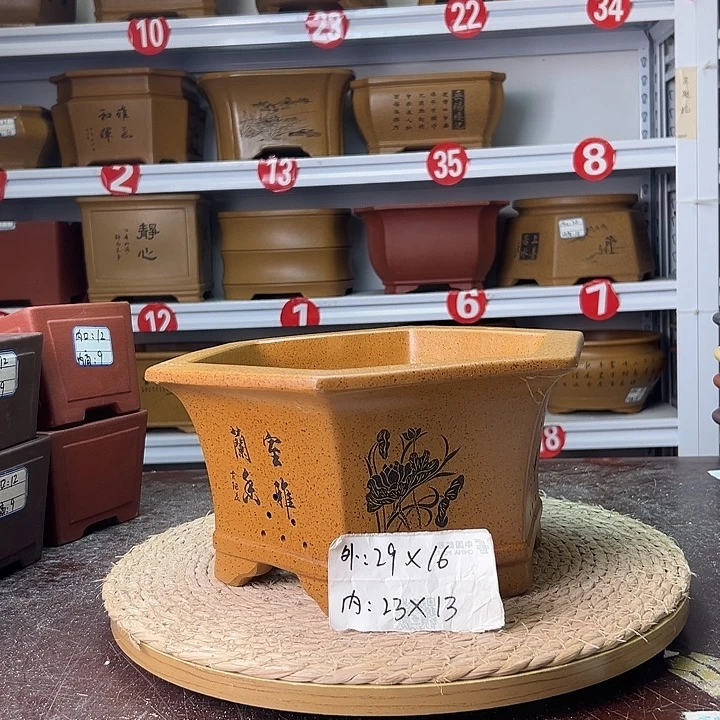 紫砂花盆蛇年大吉