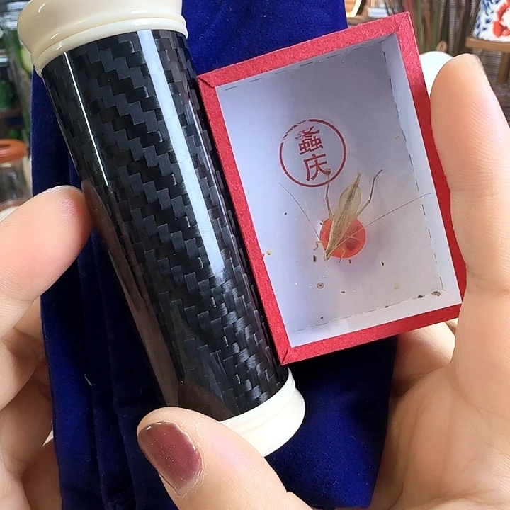 黑色碳纤维竹蛉套➕柬竹啊啊啊啊