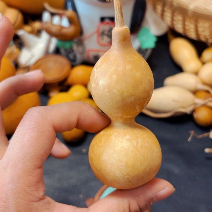 豆*喵88888888888888888