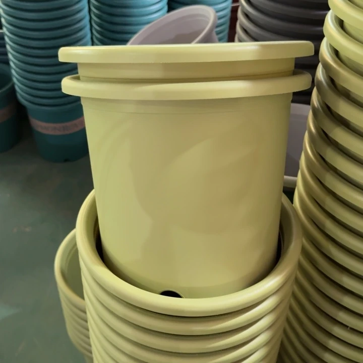 微瑕6号7个无托果绿