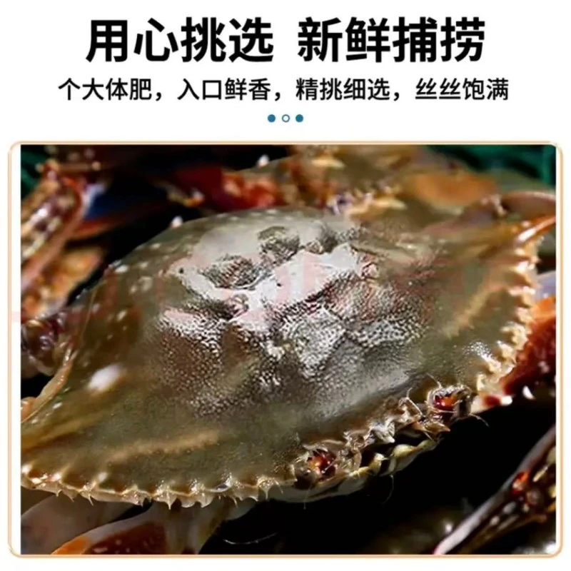 鲜活小姑娘蟹 每只3-5两三斤装【保鲜不保活】断腿正常顺丰包邮