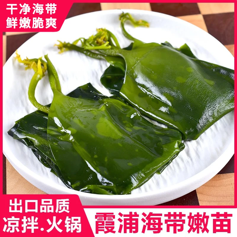 霞浦海带苗嫩非特级非干货新鲜海带芽盐渍嫩苗凉拌菜火锅商用
