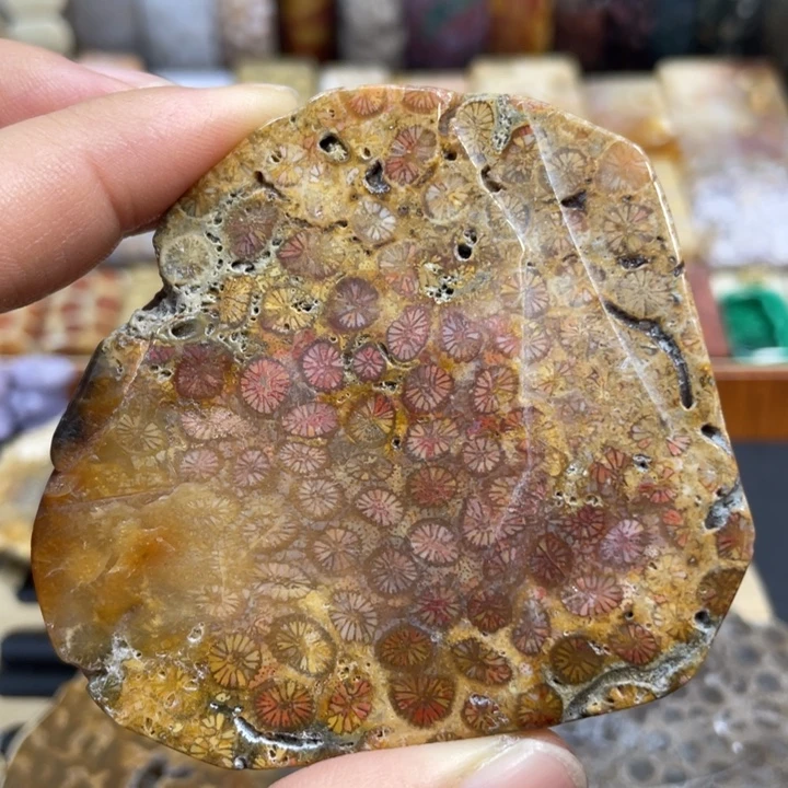 硅化玉未镶嵌颈饰k91