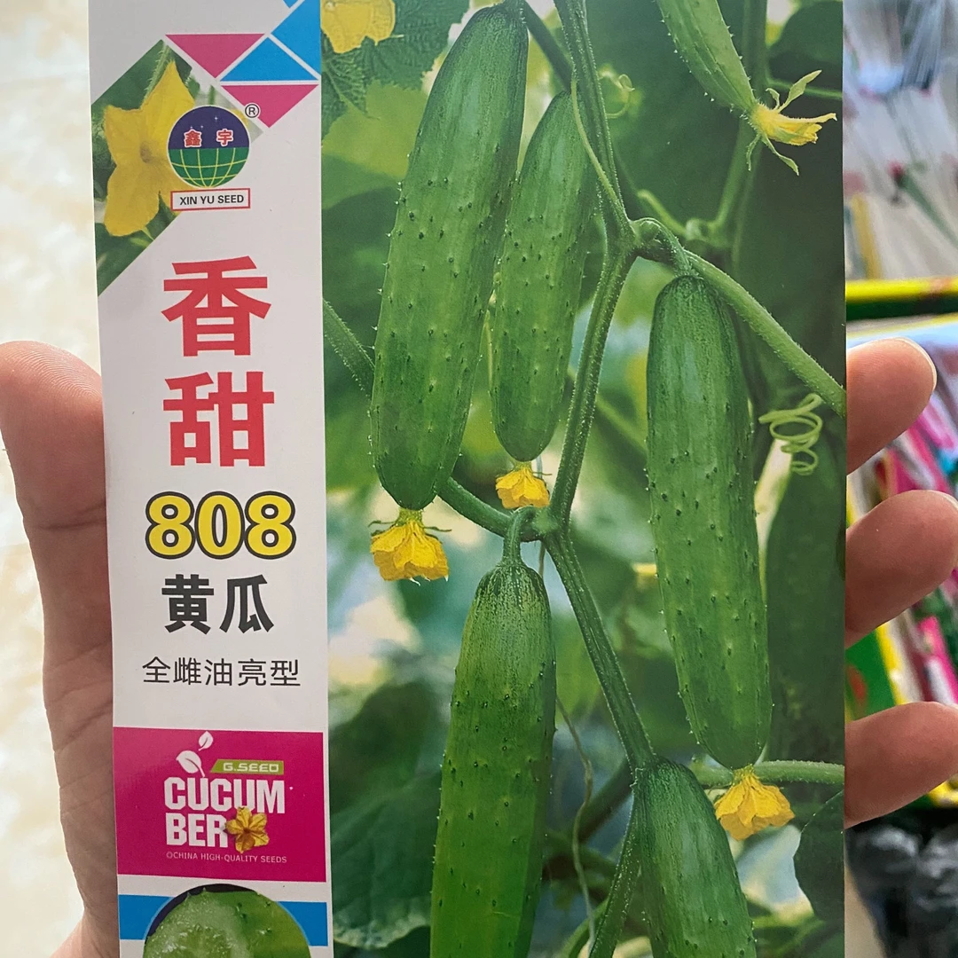 【种子】宏宇香甜808黄瓜籽
