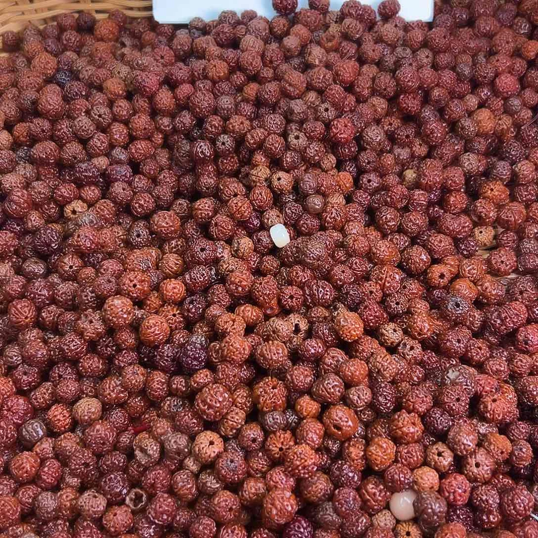 菩提根/象牙果吊坠微瑕小金刚混500颗