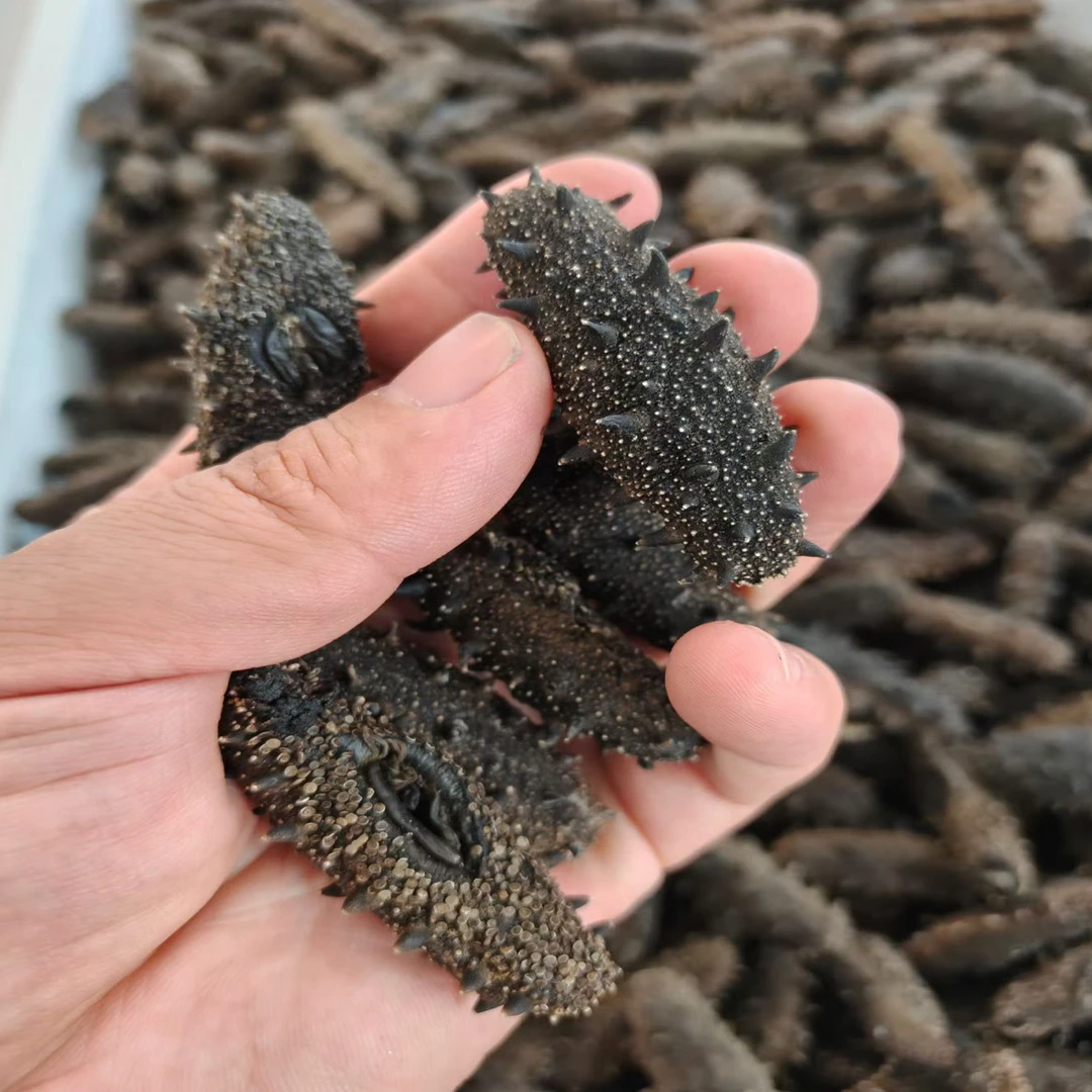 大连国标深海海区 【特级微瑕】17-19倍涨发纯无盐 无添加高涨发纯