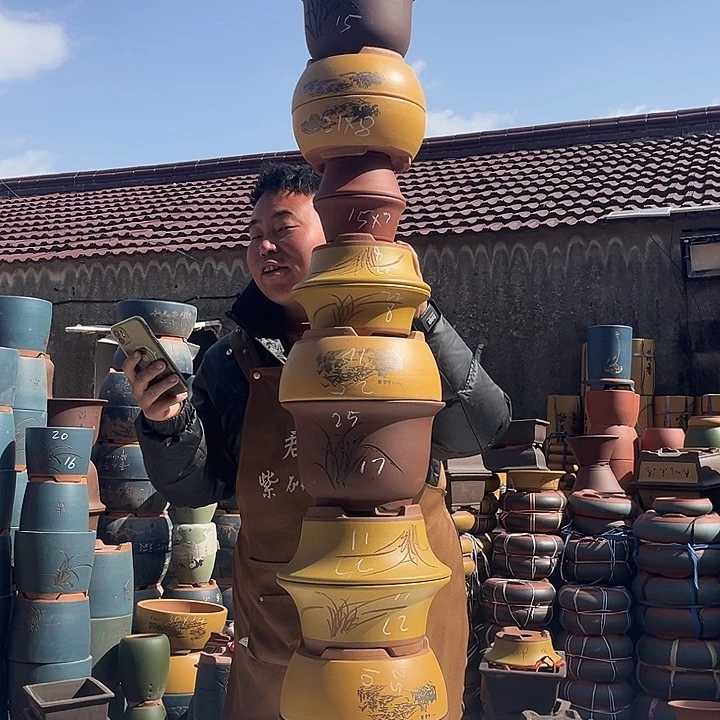 紫砂紫砂花盆盆栽